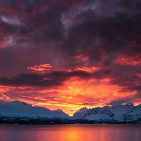 アパート Lyngenfjord,odins Hus *