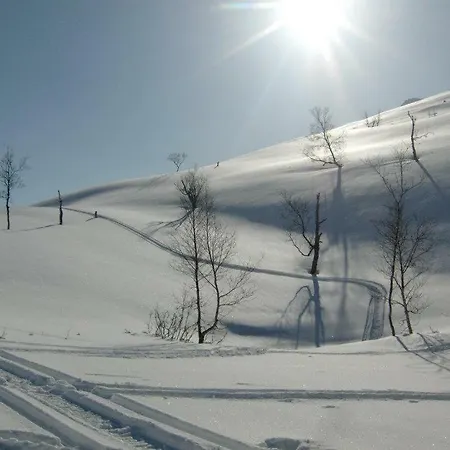 Lyngenfjord,odins Hus * Olderdalen