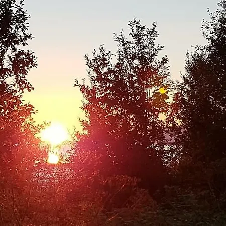 Apartamento Lyngenfjord,odins Hus *