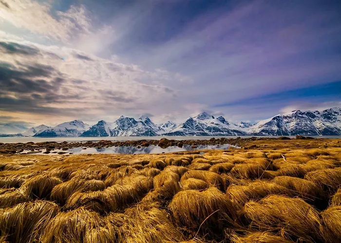 דירה Lyngenfjord,odins Hus *