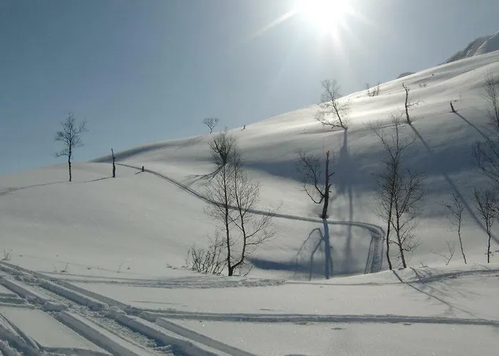 Lyngenfjord,odins Hus * Olderdalen