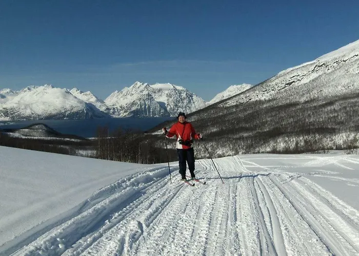 דירה Lyngenfjord,odins Hus *
